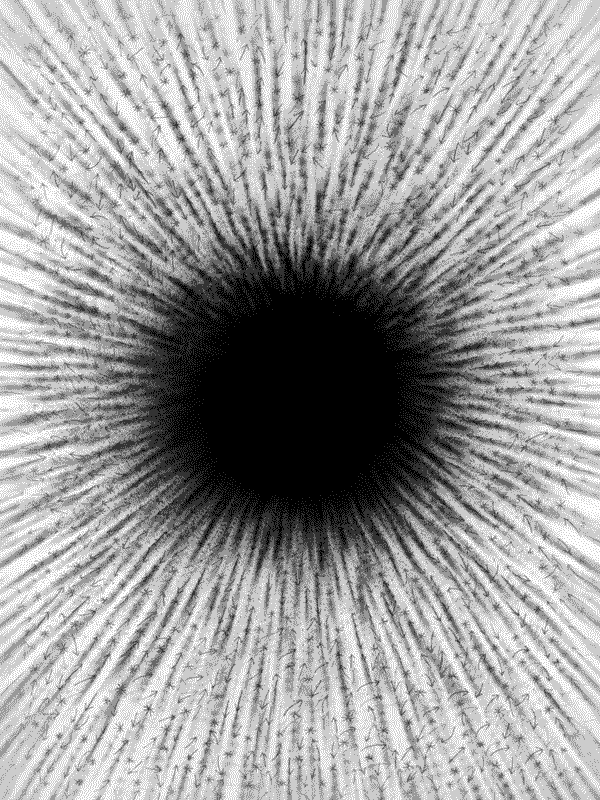 Black Hole (Concentration of Energy)