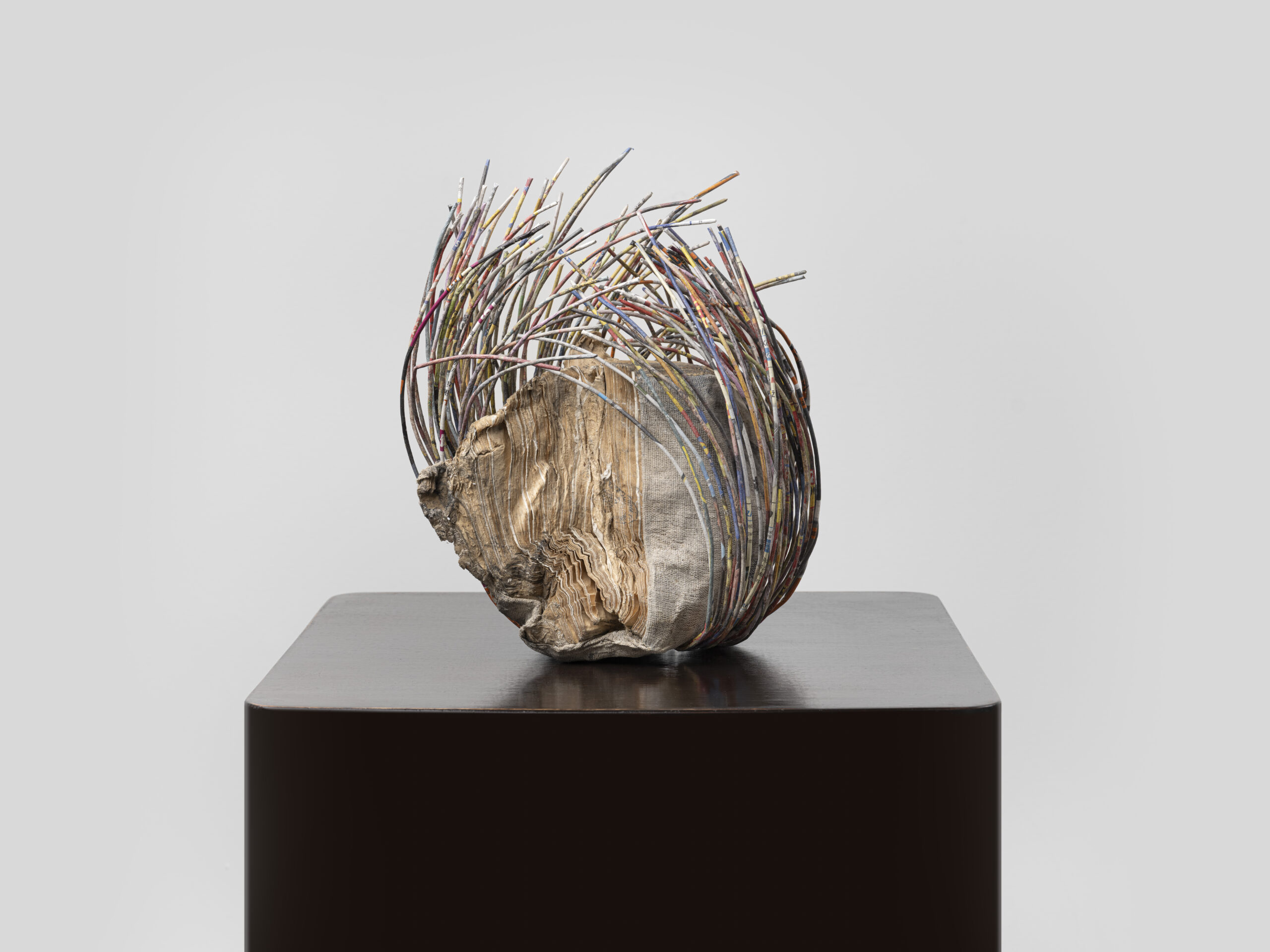 Kniha z Amnezária 4.